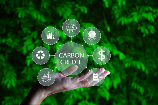 what is carbon credit